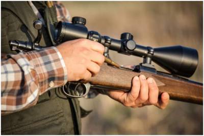 Разряжать оружие при переезде и не стрелять по неясной цели. Какие правила должен соблюдать охотник?