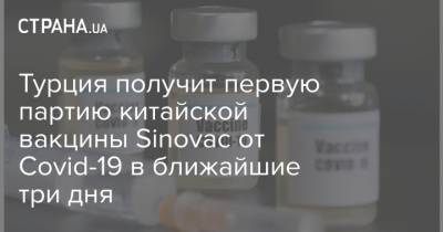 Турция получит первую партию китайской вакцины Sinovac от Covid-19 в ближайшие три дня