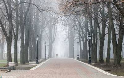 В двух областях Украины ночью и утром ожидается туман