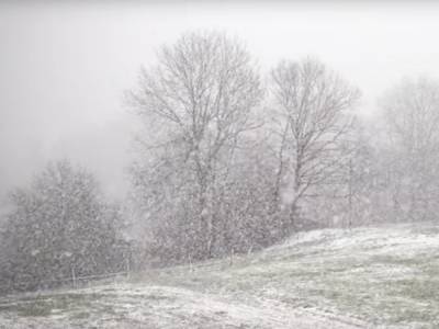 Погода в январе: синоптики неожиданно изменили прогноз, такого еще не было