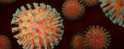 Эксперт ВОЗ уверена, что мутация коронавируса продолжится