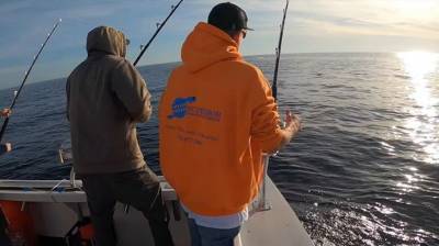 Акула забрала у рыбаков “свою долю” на $2,5 тысячи