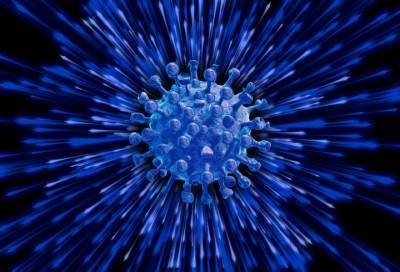 Учёные разработали сенсор, способный обнаружить коронавирус в воздухе