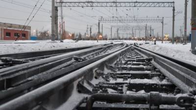 Иностранцы рассказали об особенностях путешествия по России на поезде