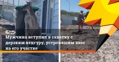 Мужчина вступил в схватку с дерзким кенгуру, устроившим хаос на его участке