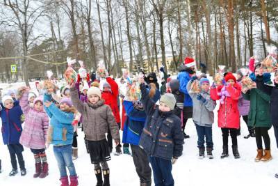 Смоленские участники акции #МыВместе организовали новогодний праздник для 70 сельских детей