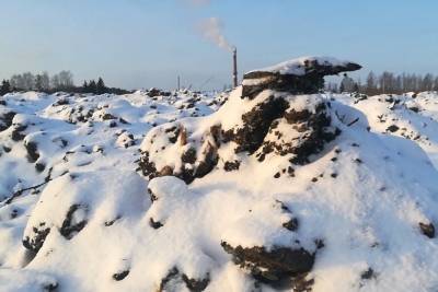 В Ярославской области очередное поле завалили фекалиями