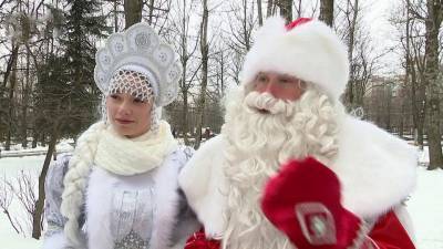 В интернете родителям предлагают заказать для детей Деда Мороза и Снегурочку с антителами