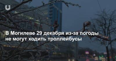 В Могилеве 29 декабря из-за погоды не могут ходить троллейбусы