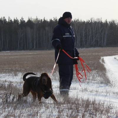 В Челябинской области ищут 80-летнего лыжника, не вернувшегося из леса
