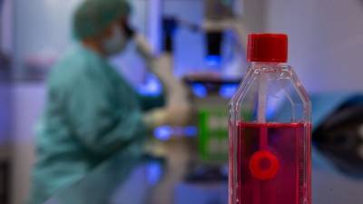 Ученые РФ разрабатывают биологически активные вещества против онкозаболеваний