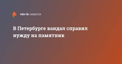 В Петербурге вандал справил нужду на памятник