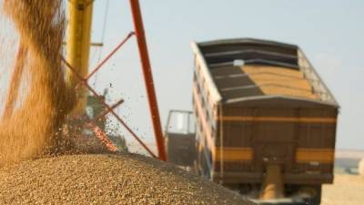 Россия нарастила зерновой экспорт на 20%: кто скупает российское зерно