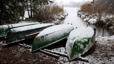 Стало известно, чей обмороженный труп нашли у лодочной станции в Сестрорецке - piter.tv - район Курортный
