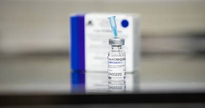 В правительстве заявили, что россияне смогут выбирать вакцину от коронавируса