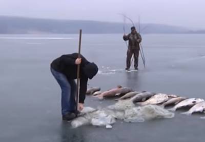 Держекоінспекція посилює боротьбу проти рибного браконьєрства