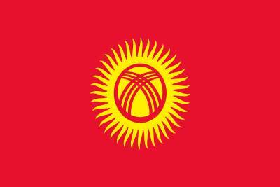 Кандидат в президенты Киргизии Бактыбек Калмаматов сравнил действующую власть страны с обезьянами