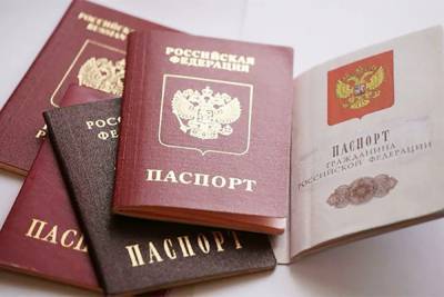На Украине посчитали, сколько жителей Донбасса получили российские паспорта