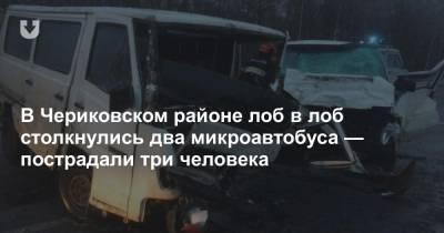 В Чериковском районе лоб в лоб столкнулись два микроавтобуса — пострадали три человека