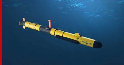 ВМФ США ждет предложений по проекту крупнейшего подводного дрона Snakehead