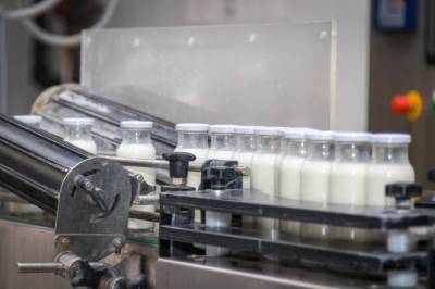 В России 20 января стартует добровольная маркировка молочной продукции