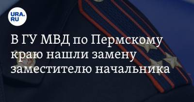 В ГУ МВД по Пермскому краю нашли замену заместителю начальника