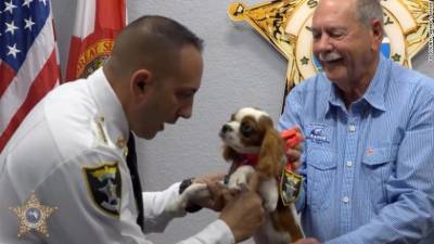 В США щенка, которого спасли из челюсти аллигатора, сделали помощником шерифа