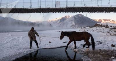 Спасатели спешат на помощь: под лед провалилась лошадь