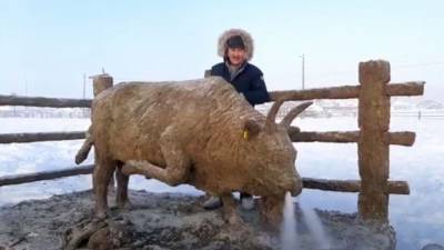 Житель Якутии презентовал огромную скульптуру быка из навоза