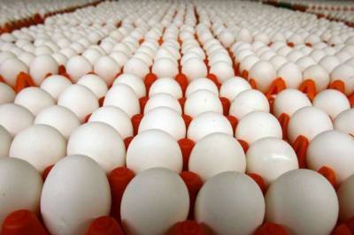 В Украине продолжают подорожать куриные яйца