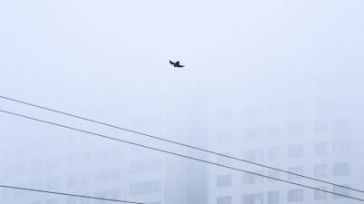 В МЧС Татарстана предупредили о тумане вечером 29 декабря