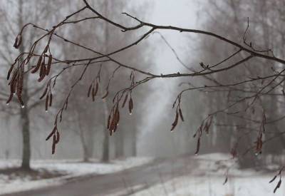 В Смоленской области ожидаются туман, гололед и оттепель