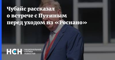Чубайс рассказал о встрече с Путиным перед уходом из «Роснано»