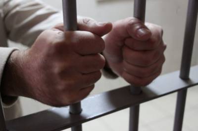 Основной фигурант дела о хищениях в РАНХиГС арестован на два месяца