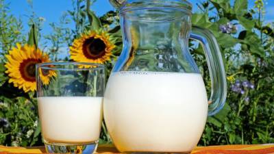 С 20 января начнется добровольная маркировка молочной продукции в РФ