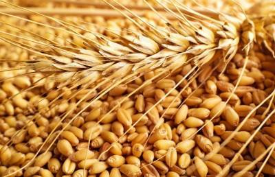 Житель Рогачевского района похитил тонну зерна