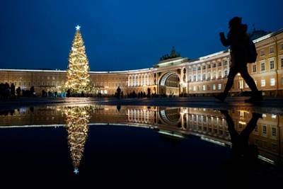 Определен самый недовольный новогодней елкой российский город