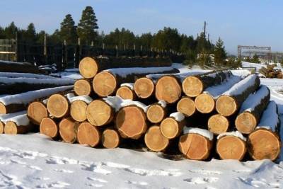 Осипов заявил, что вывоз необработанной древесины в Китай из Забайкалья почти невозможен