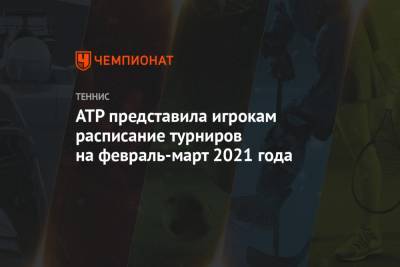 ATP представила игрокам расписание турниров на февраль-март 2021 года