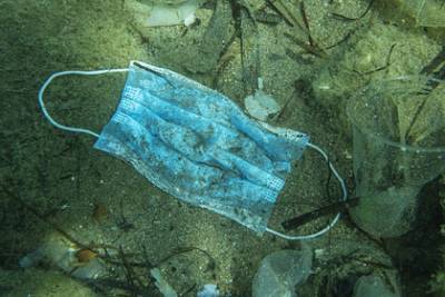 Полтора миллиарда выброшенных масок попало в мировой океан