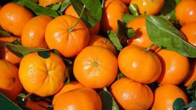Медикам больницы в Удмуртии передали к Новому году более 2 тонн фруктов
