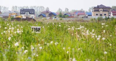 В Калининграде мэрия выделит многодетным семьям 21 участок земли