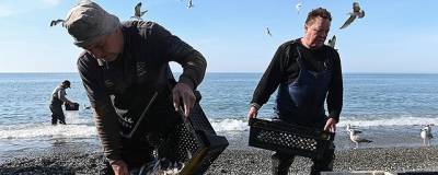 Юрий Трутнев попросил власти Китая снять с России ограничения на экспорт рыбы