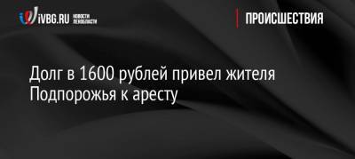 Долг в 1600 рублей привел жителя Подпорожья к аресту