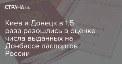Киев и Донецк в 1,5 раза разошлись в оценке числа выданных на Донбассе паспортов России