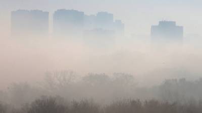 Желтый уровень опасности: до конца суток Киев накроют туманы и сильный ветер