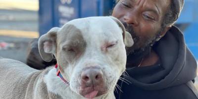 В США бездомный побежал в горящее здание, чтобы помочь животным из местного приюта. Ему это удалось — он спас 6 собак и 10 котов
