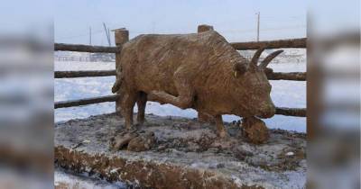 Российский мастер навозных скульптур слепил символ 2021 года — Быка, давящего коронавирус