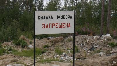 Поддержка кабмина помогла избежать мусорного коллапса в российских регионах