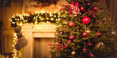 Украденный Новый Год. Врач-аллерголог рассказала, как елки, шарики и «ароматы счастья» могут испортить праздник